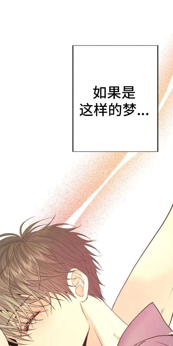 流星与刀漫画漫画,第9章：不是梦1图
