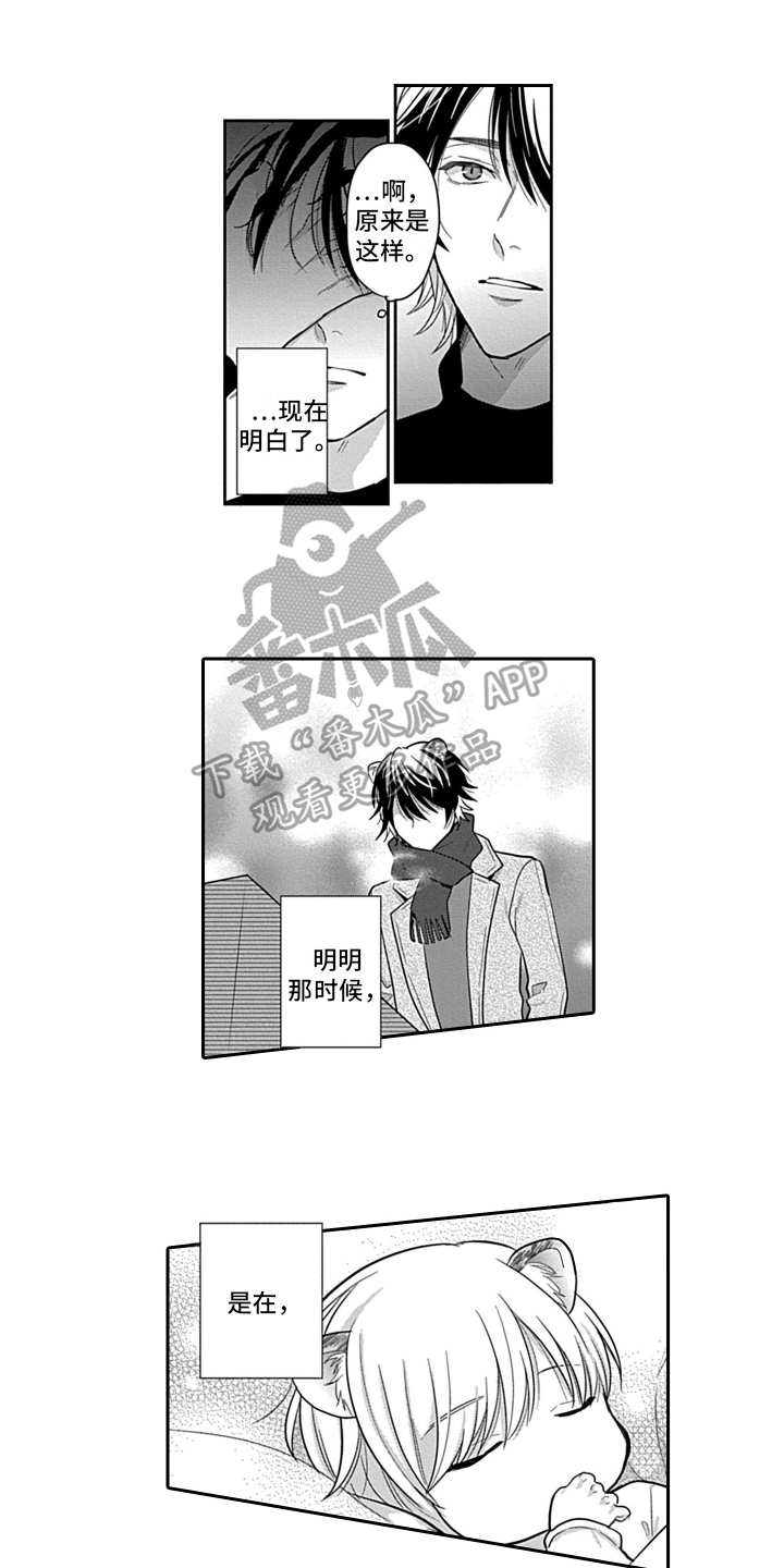争宠精灵使漫画漫画,第10章：秘密8图