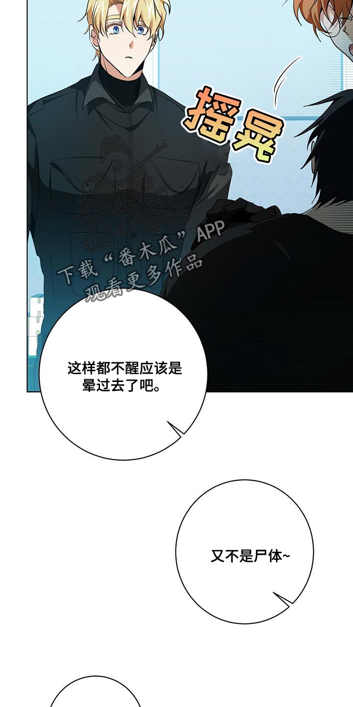 幻影王子漫画漫画,第24章：警惕3图