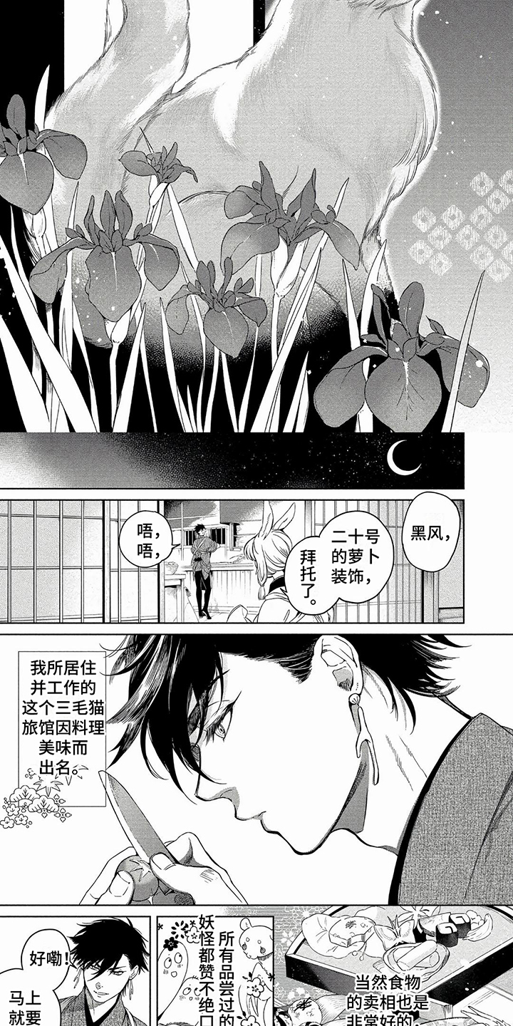 韩漫爱豆漫画漫画,第1章：灾厄之狐2图