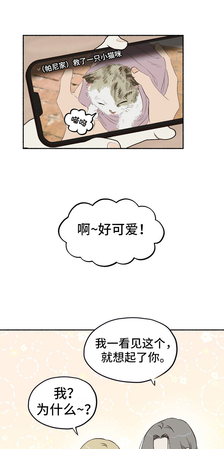 奇特香味漫画漫画,第1章：单纯2图