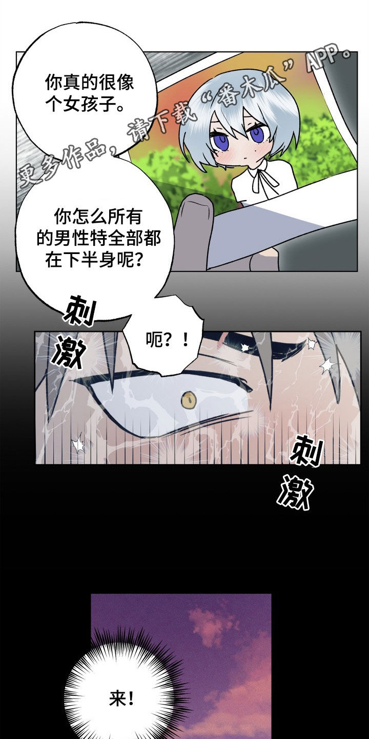 不需要充会员的漫画漫画,第50章：新婚旅行3图