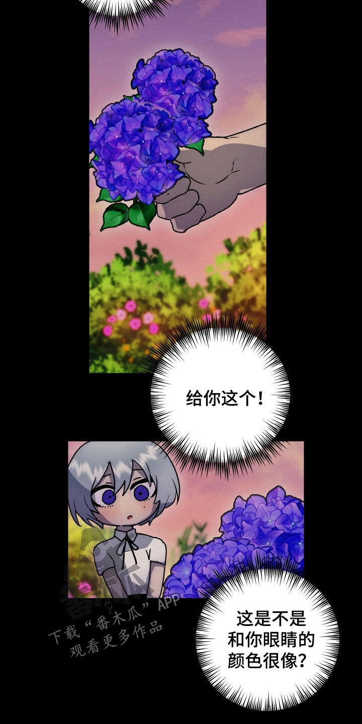 不需要充会员的漫画漫画,第50章：新婚旅行1图