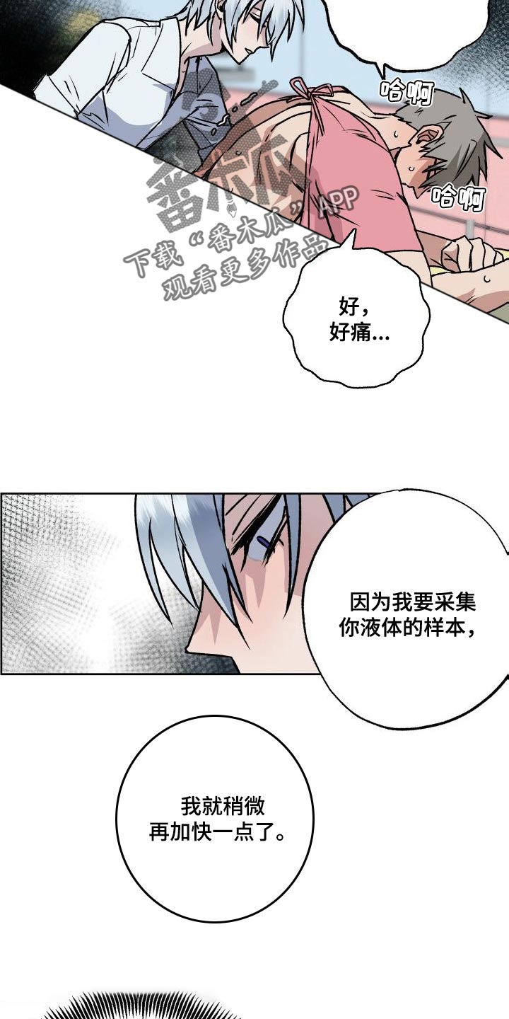 特别会员漫画漫画,第19章：难道你喜欢我吗1图