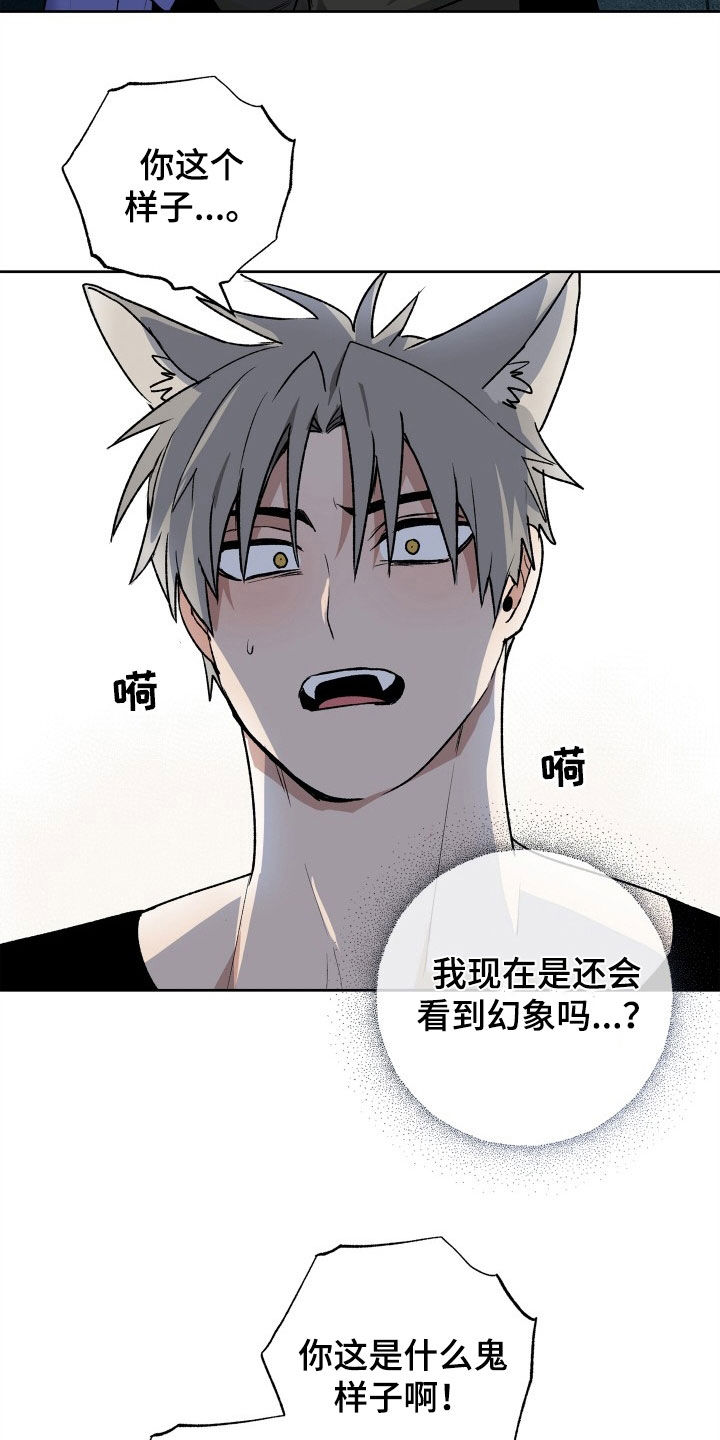 特别会员漫画漫画,第33章：求婚2图