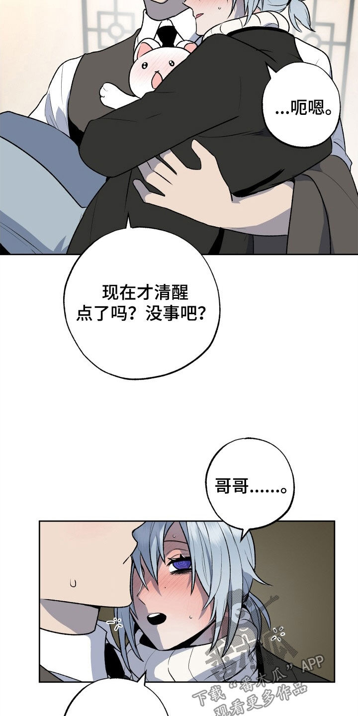 特别会员漫画漫画,第41章：着急1图