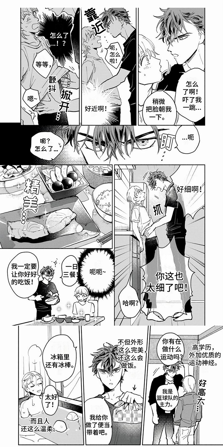 仙女来袭漫画漫画,第2章：当成宠物1图