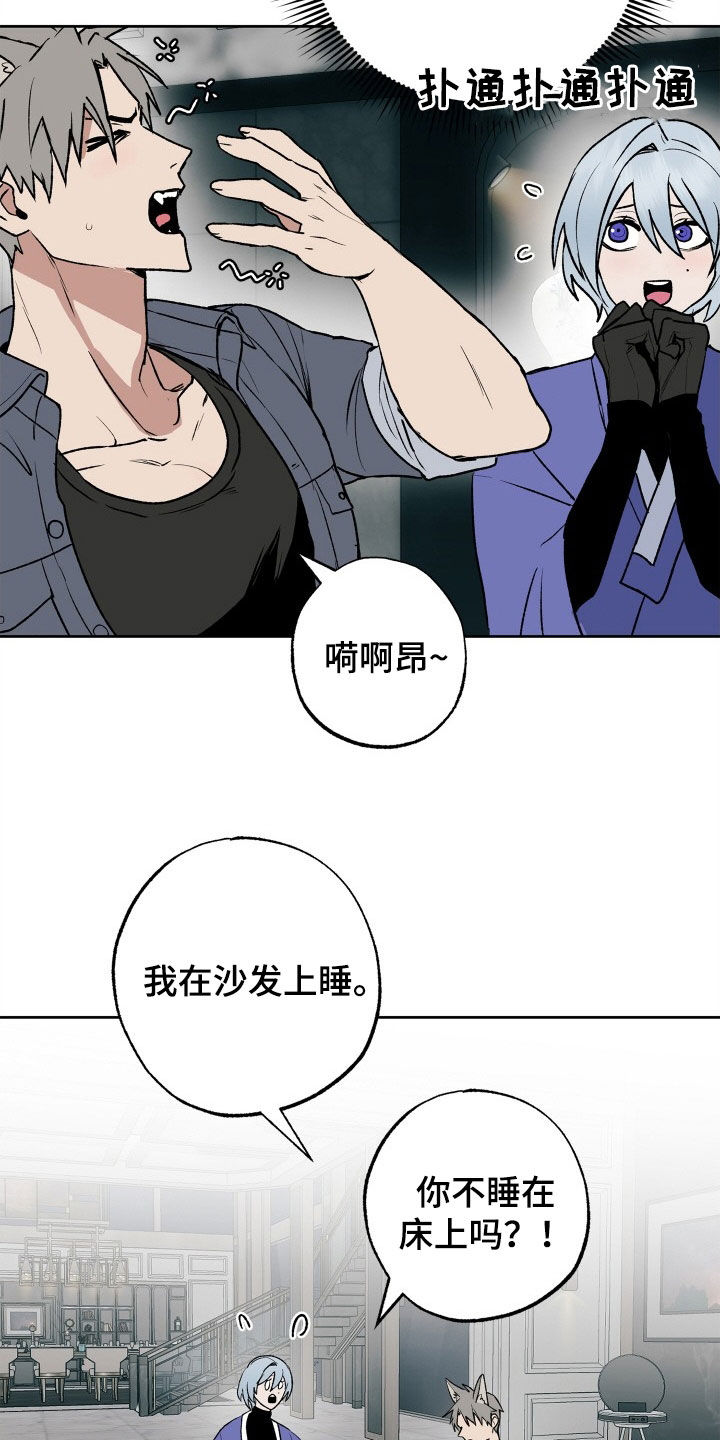 特别会员漫画漫画,第35章：义务1图