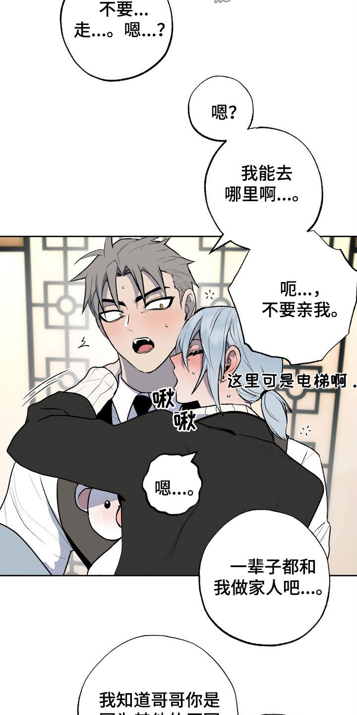 特别会员漫画漫画,第41章：着急2图
