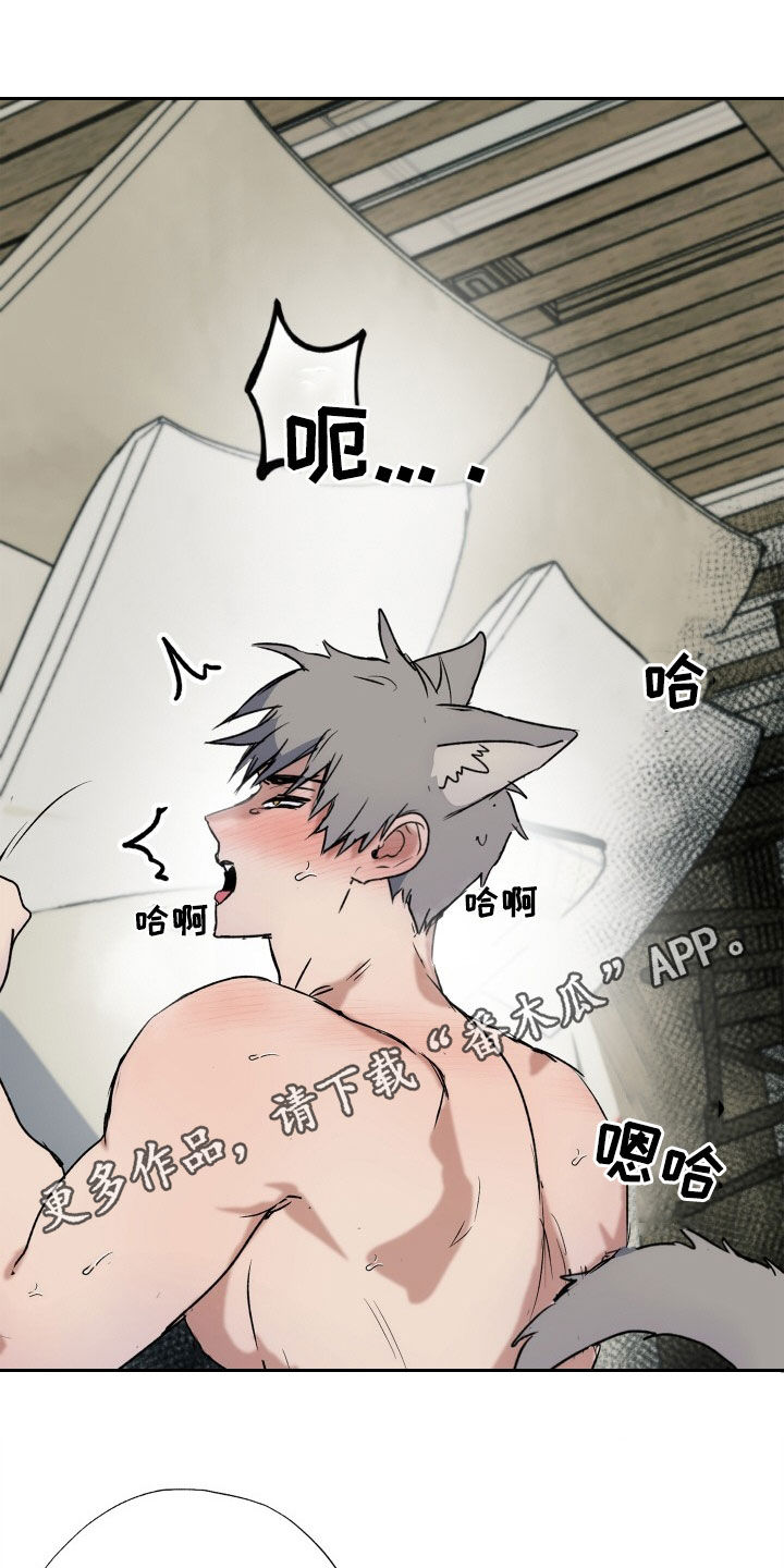 猜不到样子漫画漫画,第18话 藏私房钱4图
