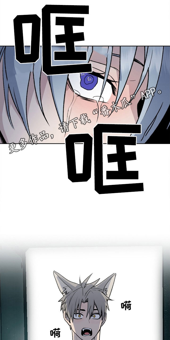 特别会员漫画漫画,第33章：求婚3图
