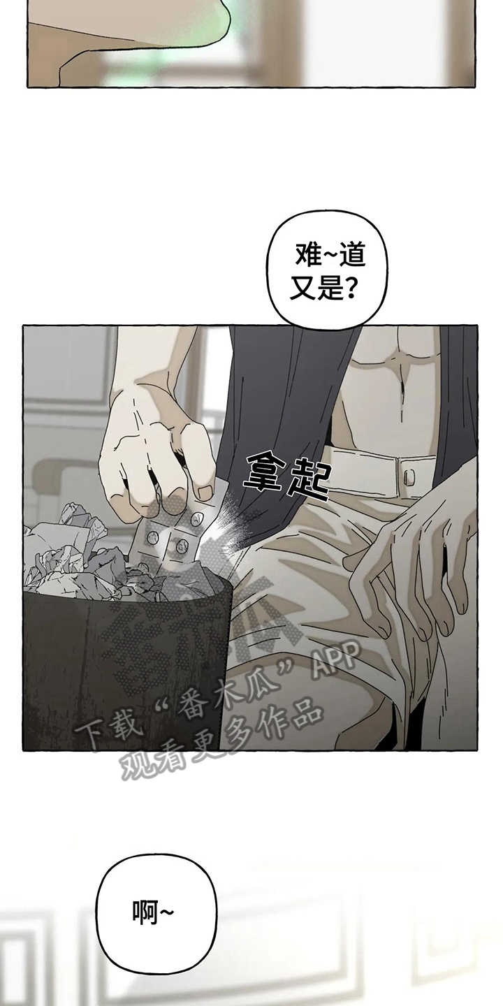 灰姑娘的专属刺客漫画漫画,第12章：不会后悔【完结】3图