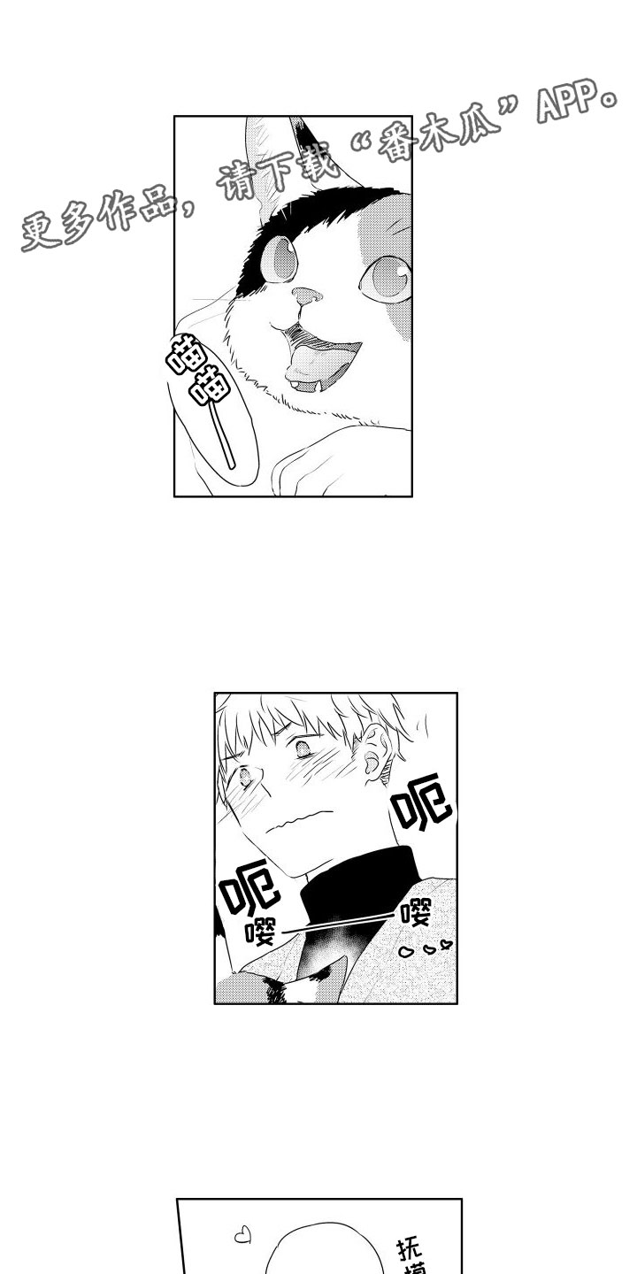 心动女房客漫画漫画,第50话 幕后还有人8图