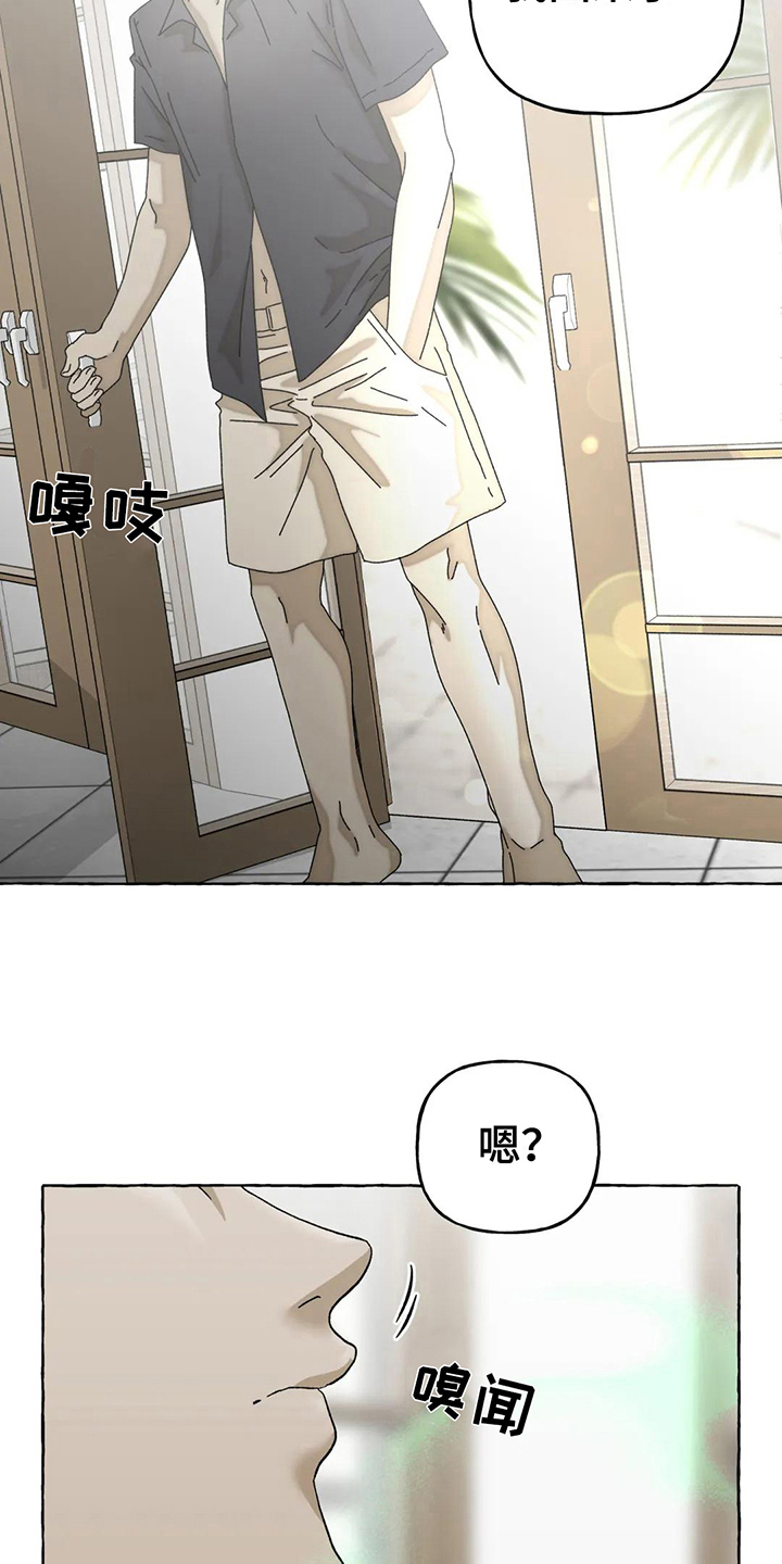 灰姑娘的专属刺客漫画漫画,第12章：不会后悔【完结】2图