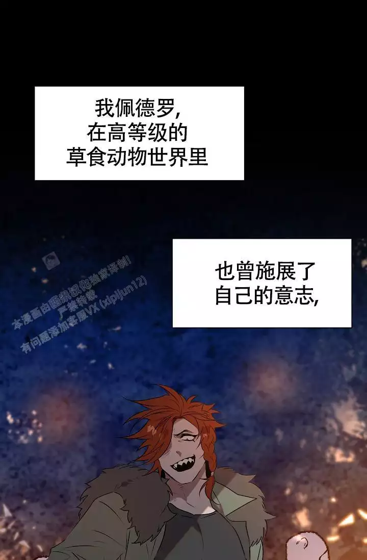 可爱项圈漫画免费观看漫画,第14话1图