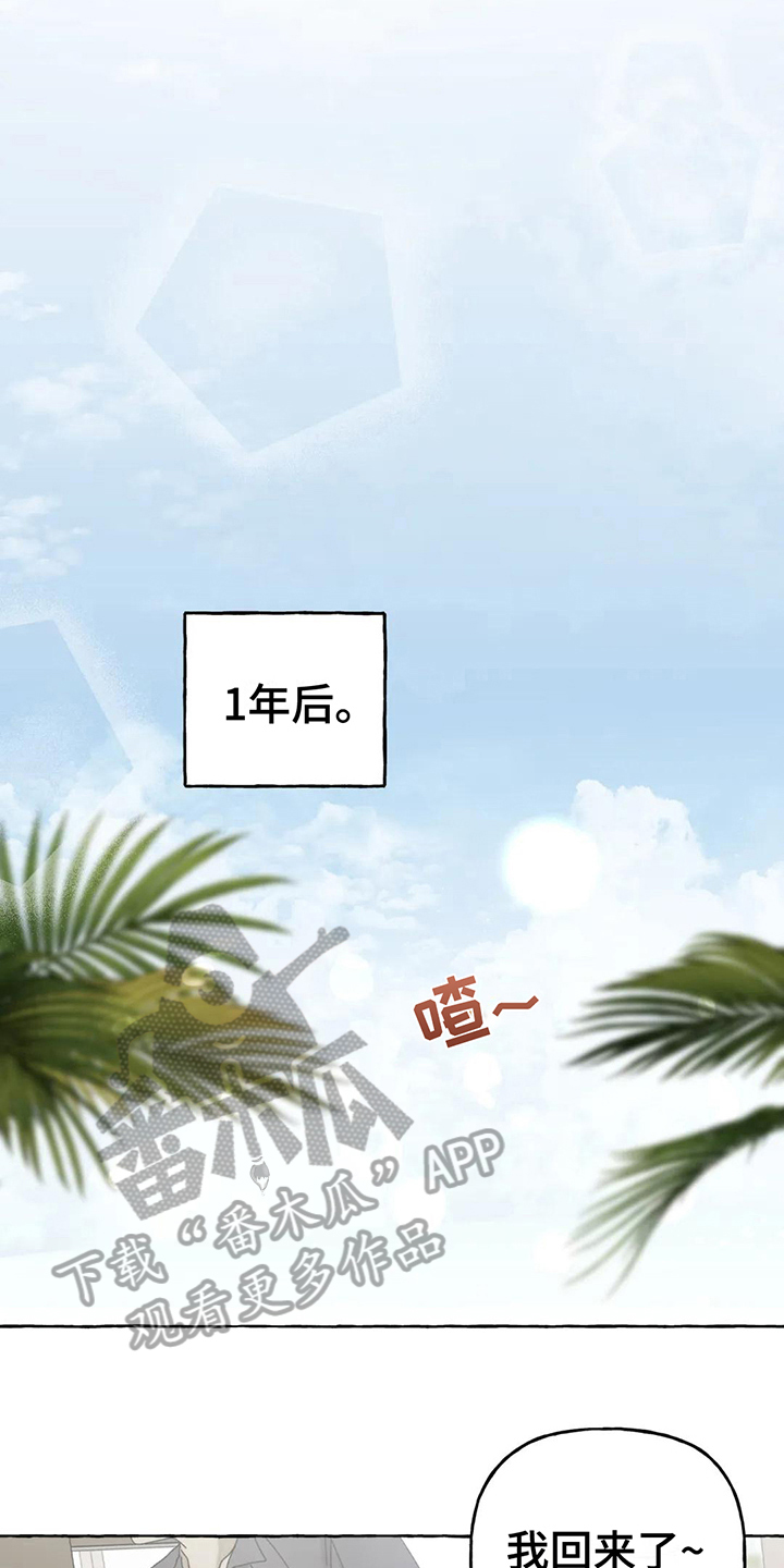 灰姑娘的专属刺客漫画漫画,第12章：不会后悔【完结】1图