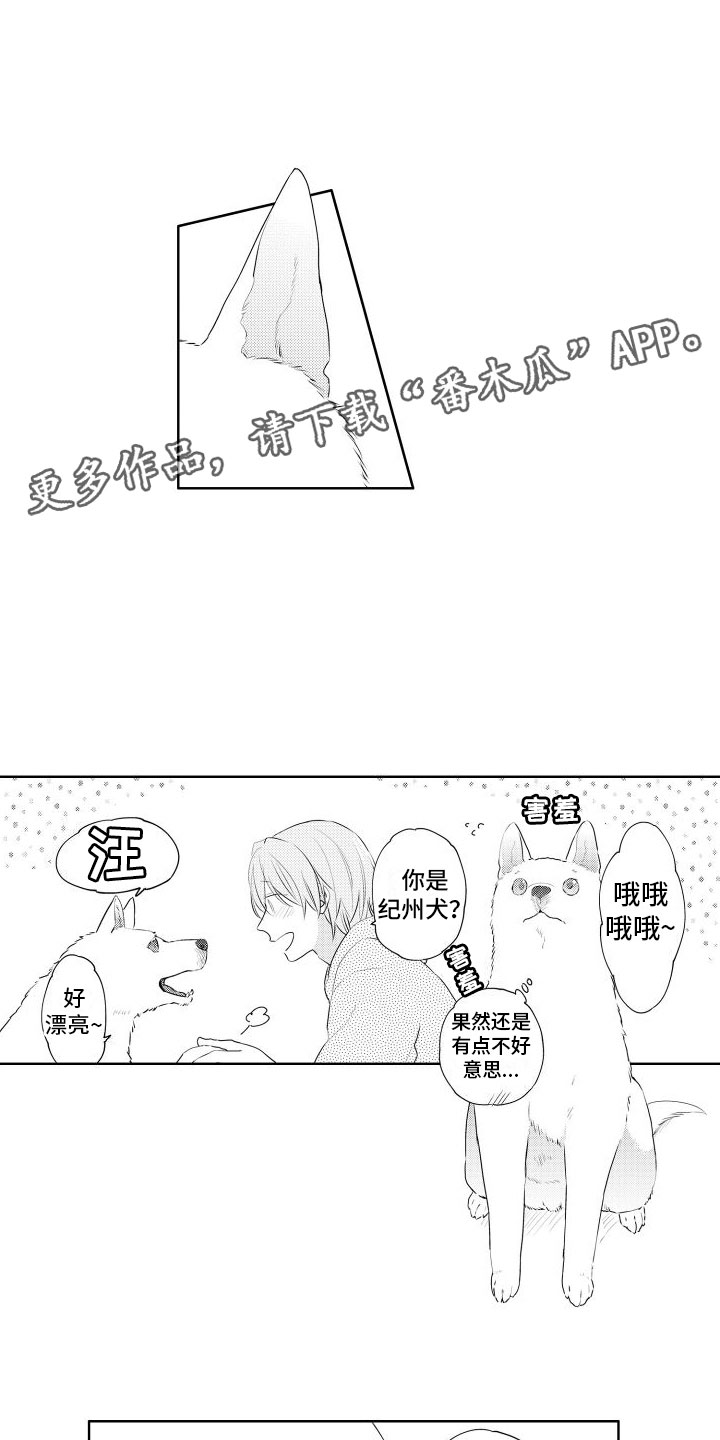 心动女房客漫画漫画,第49话 真的恋爱了8图