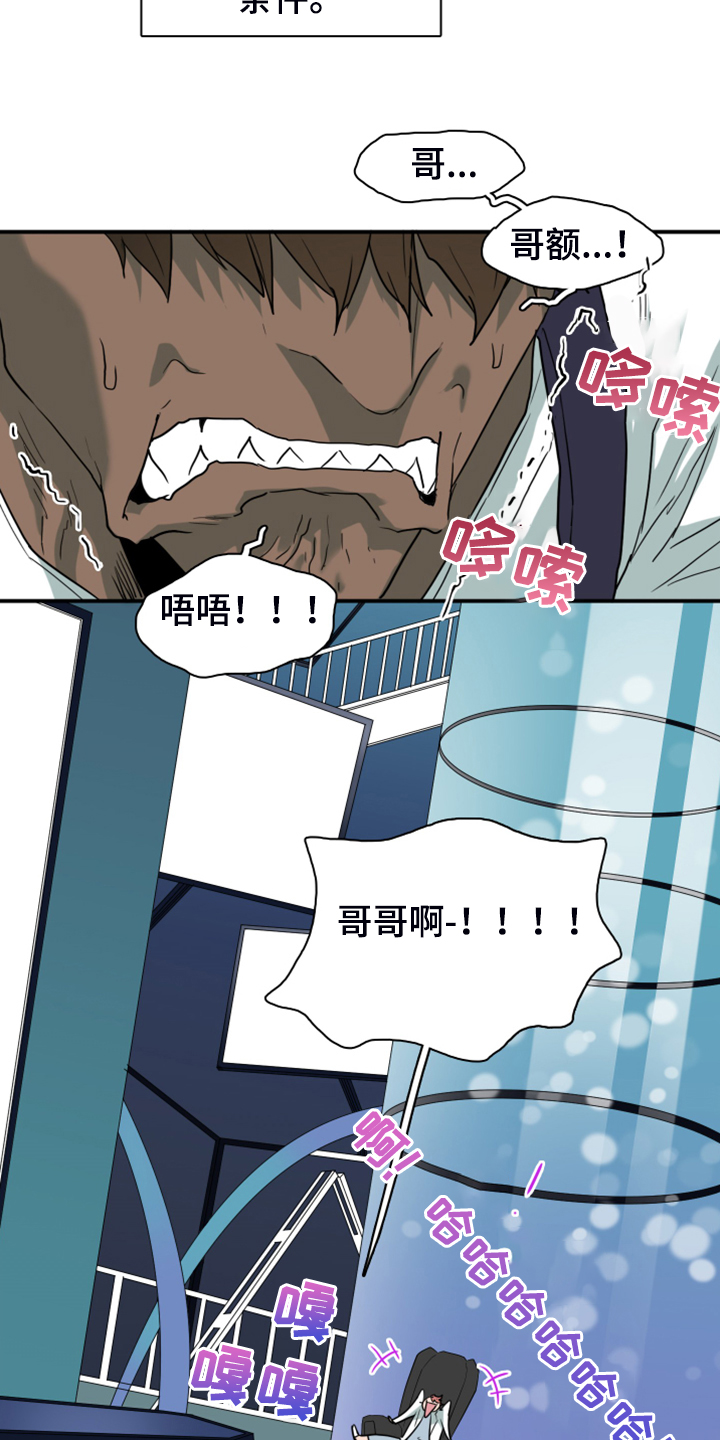 情人节之吻漫画免费漫画酷漫屋漫画,第246章：【完结】回归的人1图