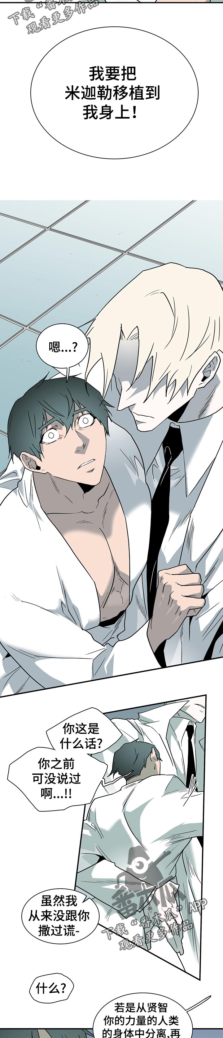 情人节的漫画画画漫画,第187章：通知3图