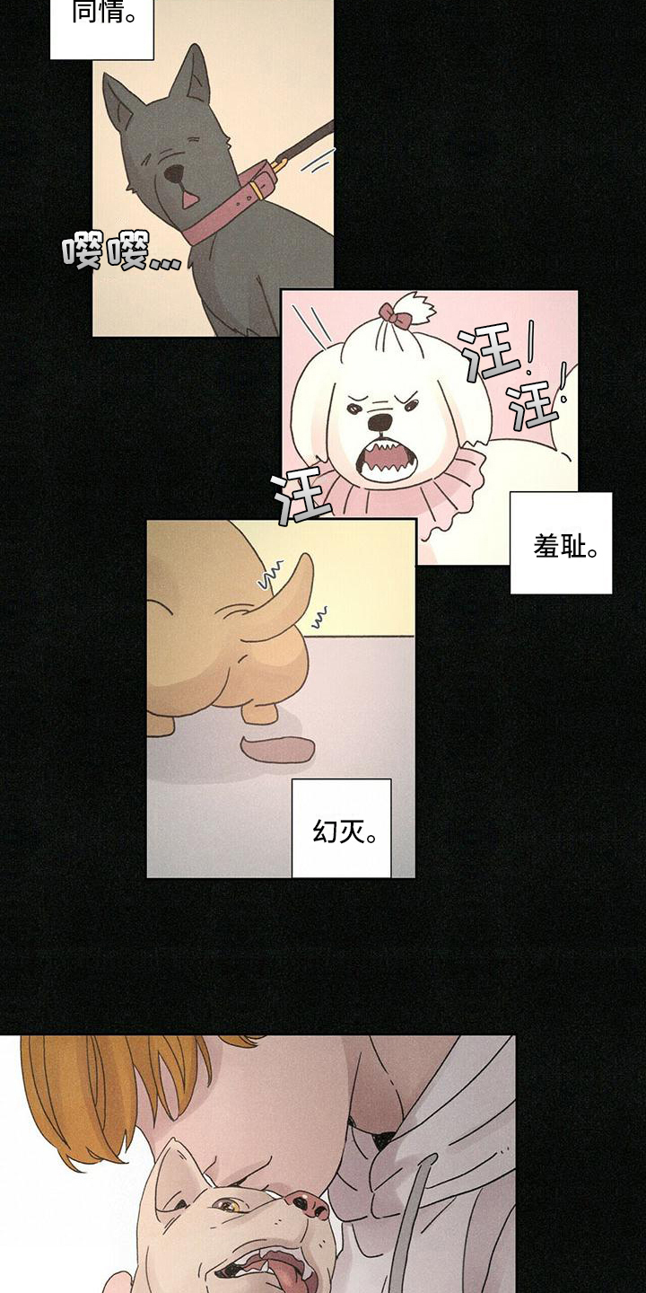 爱情深渊漫画漫画,第1章：不能放弃的爱3图