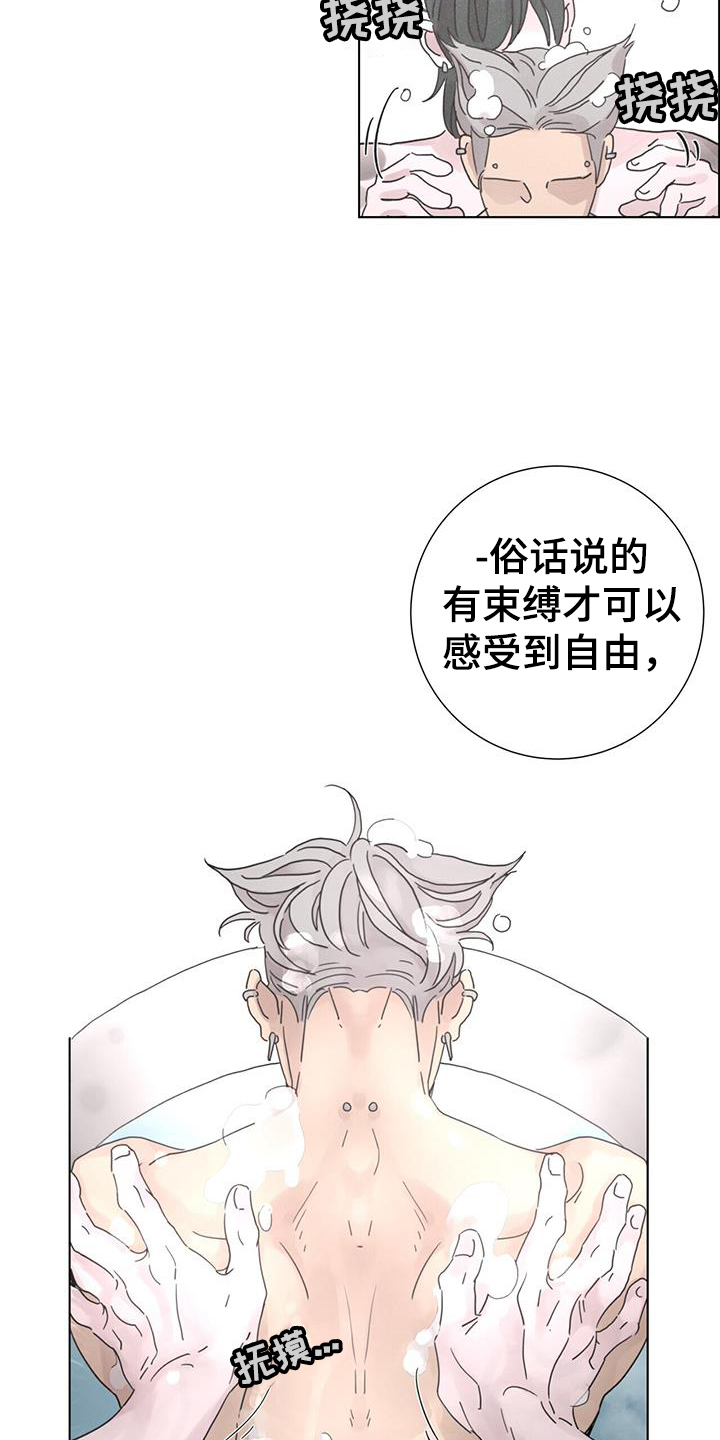 爱情深渊漫画漫画,第62章：【第二季】注定3图