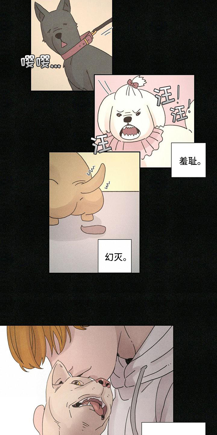 爱情深渊漫画漫画,第3章：后果2图