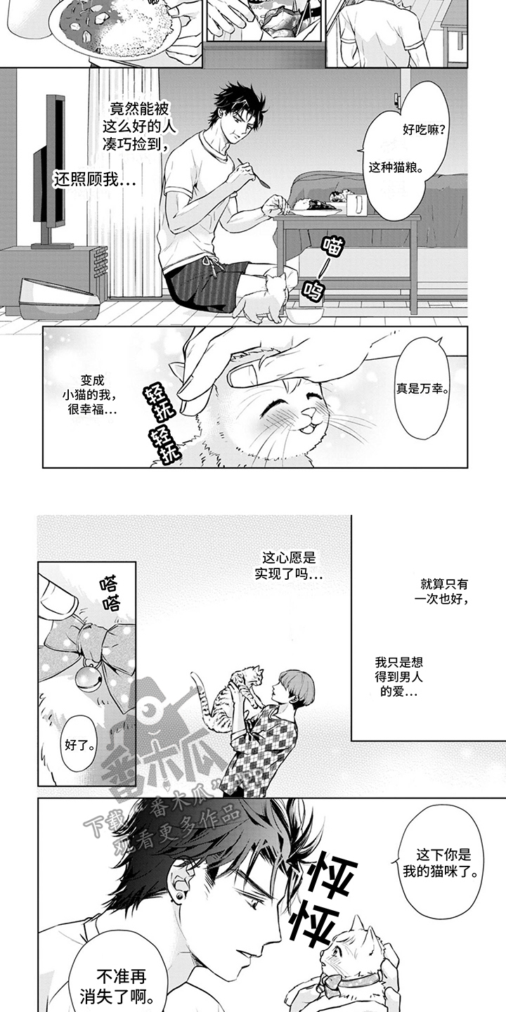 家族争夺漫画漫画,第15章：番外：爬墙2图