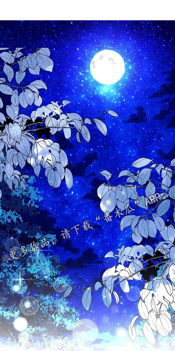 圣诞节的礼物动画片漫画,第96章：5图