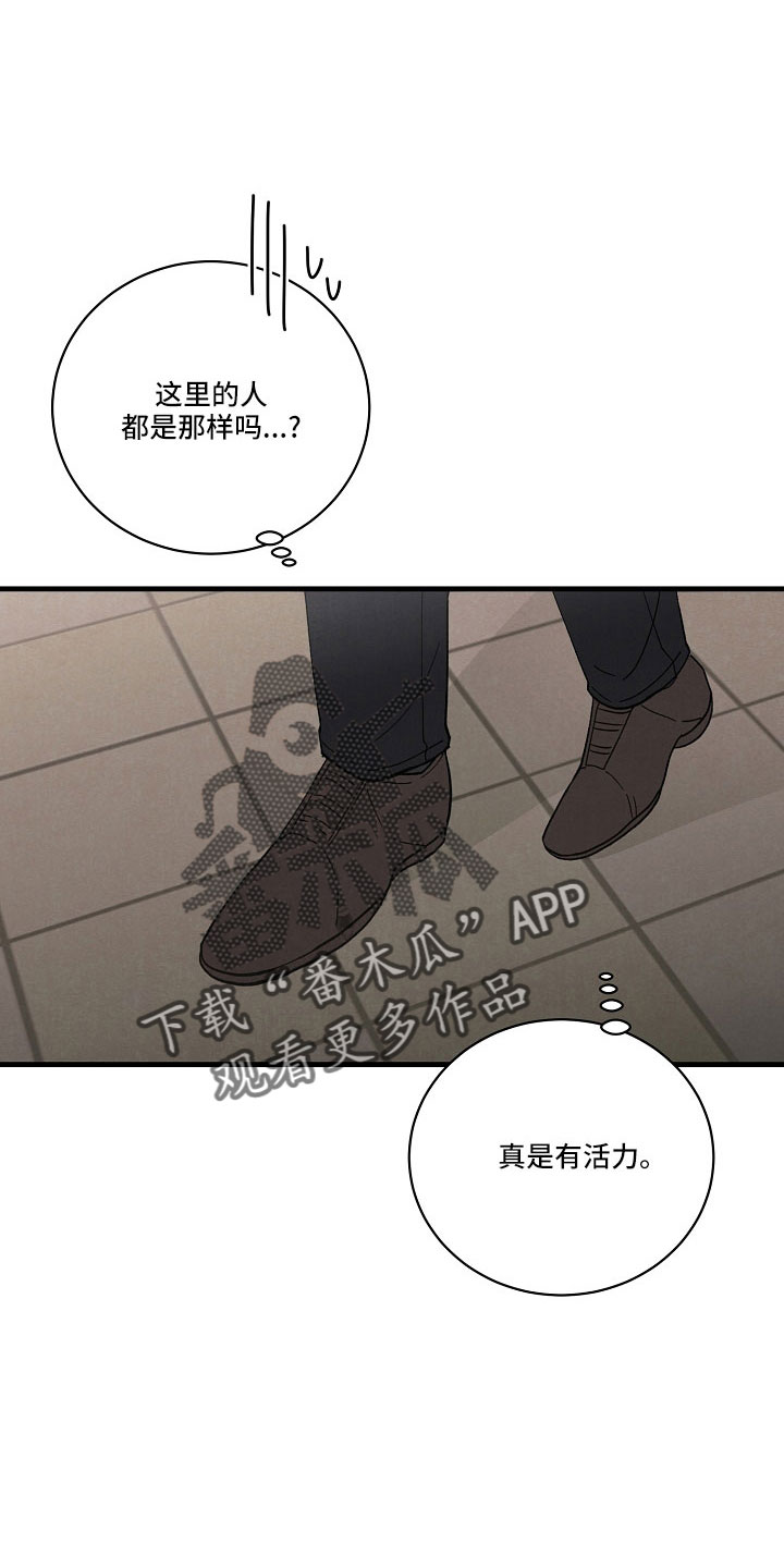 黎明前夕图片漫画,第26章：笨蛋一样1图