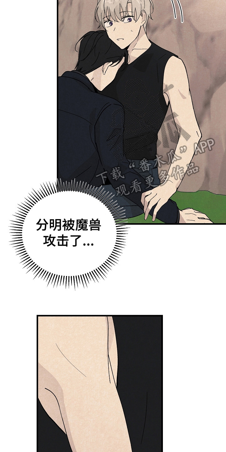 黎明前夕图片漫画,第11章：匹配度2图