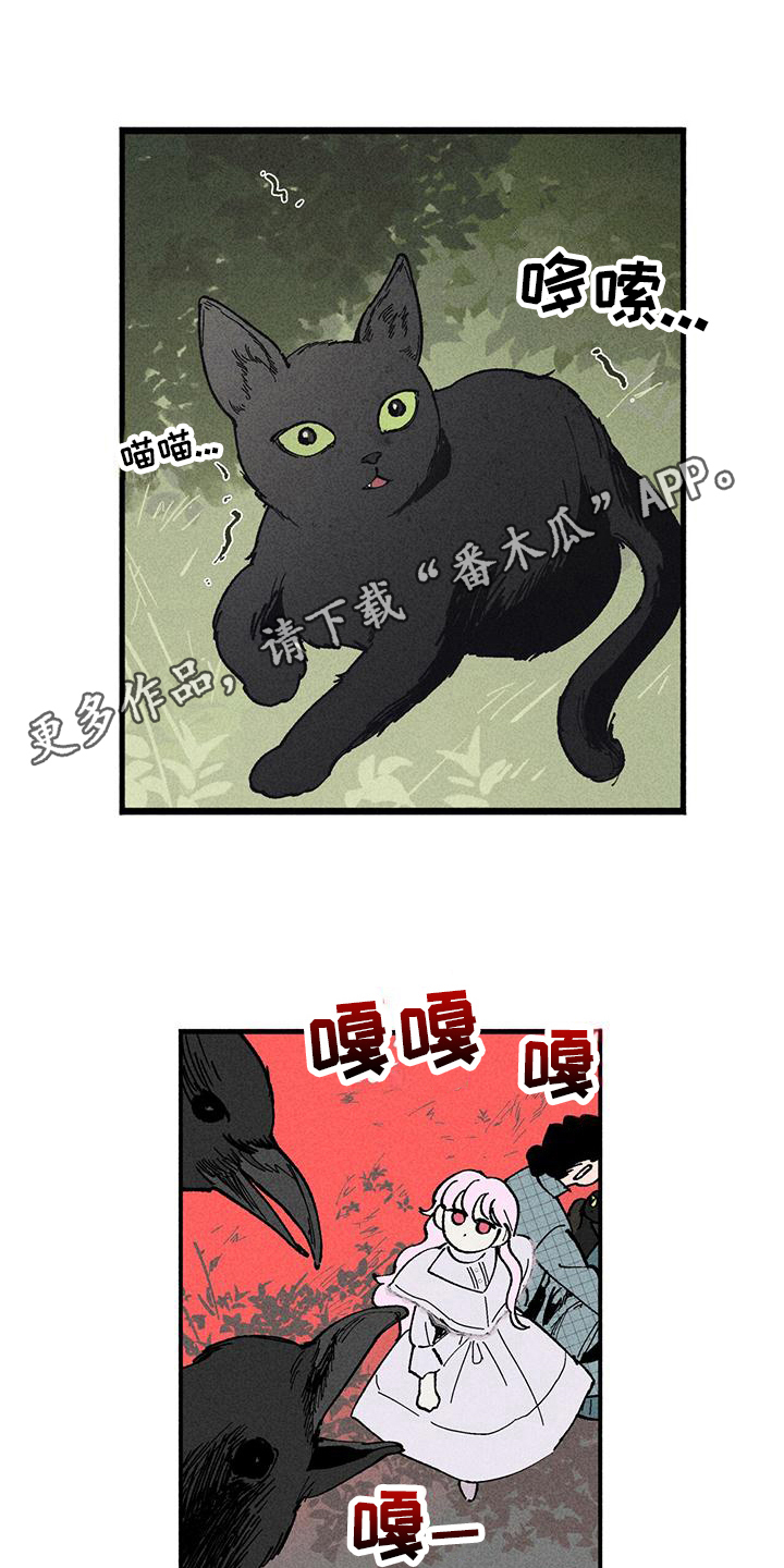 第14章：惊人事实5