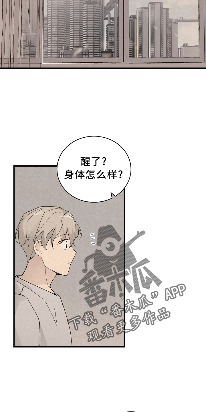 黎明时分漫画图片漫画,第62章：确认1图