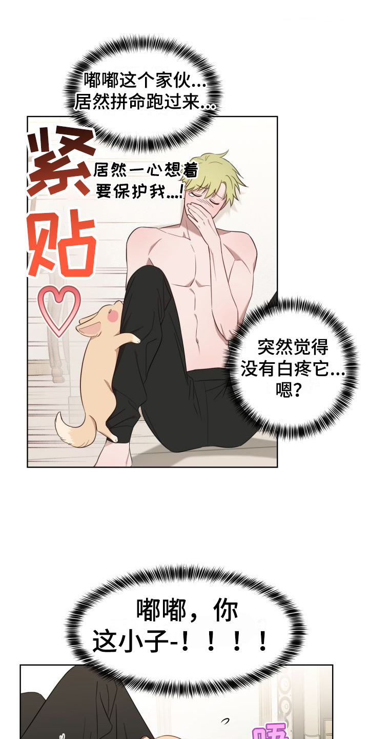 宫廷恶女漫画免费阅读下拉式漫画奇妙漫画网漫画,第8章：完全不同6图