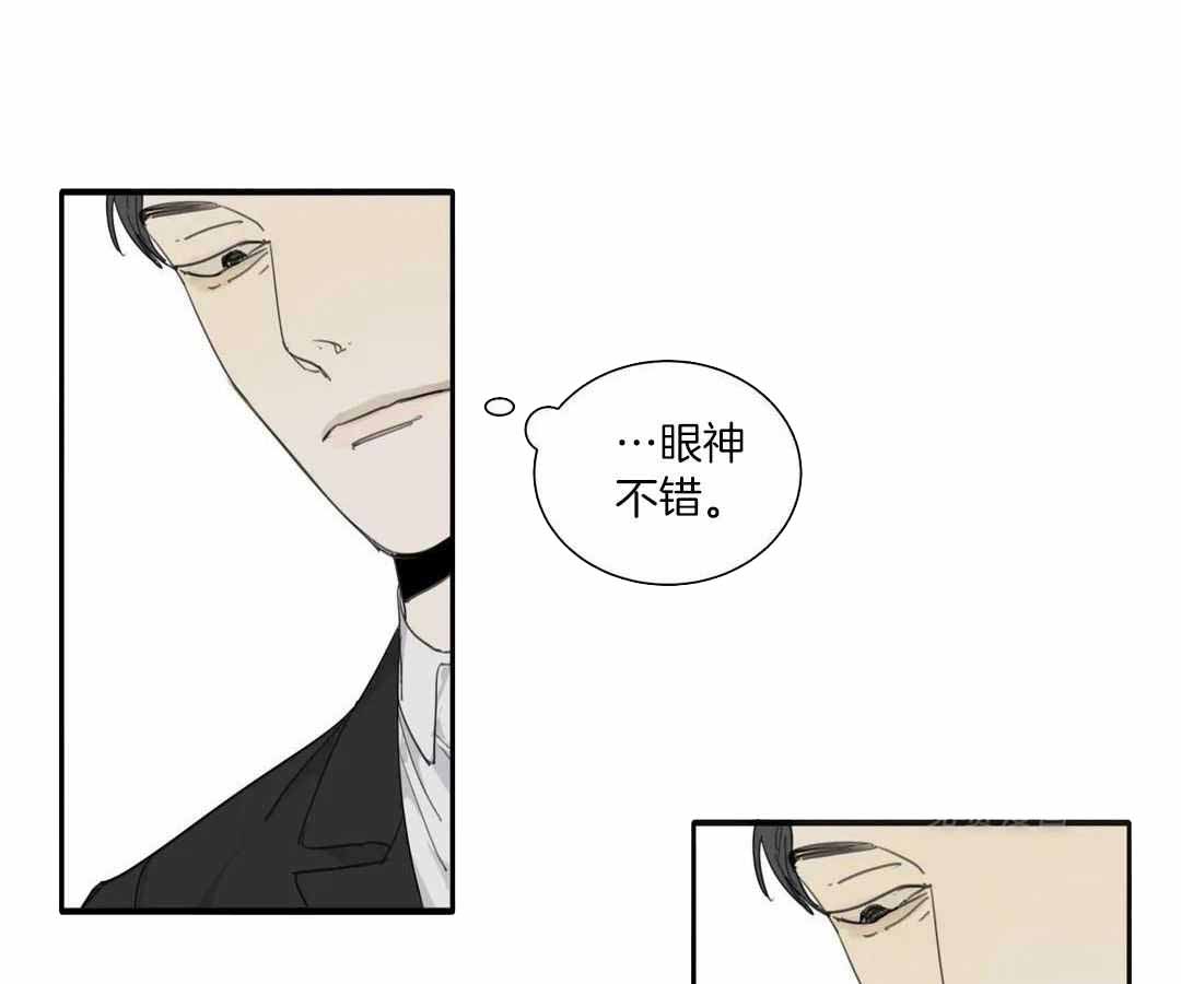 传奇之旅宇哥修改版漫画,第11章：厨艺4图
