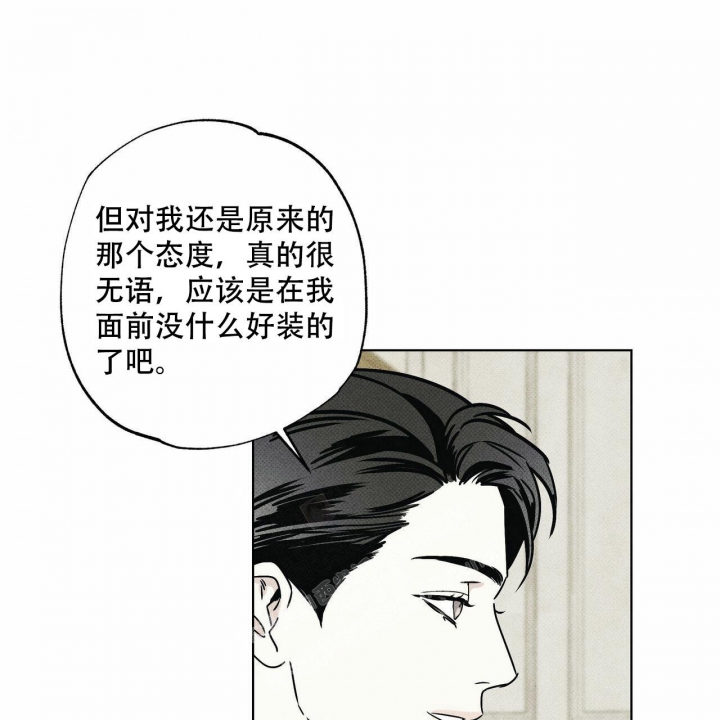 一口气看完现象级漫画冰点世界漫画,第61话 619图