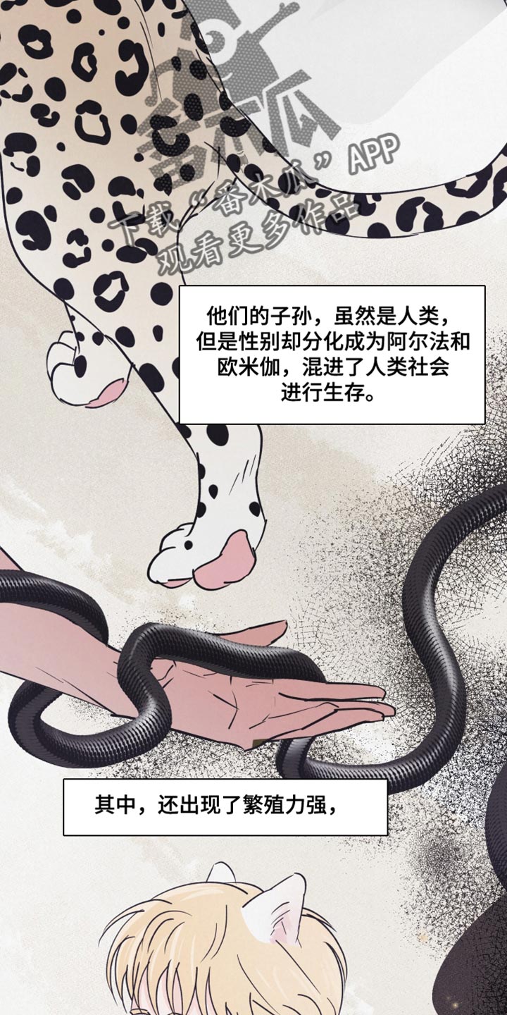 热量狂飙漫画漫画,第15章：动物形状3图