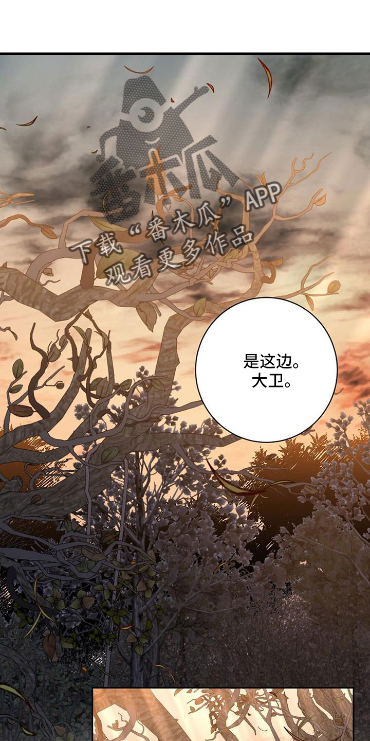 倒霉的吸血鬼漫画漫画,第32章：以我为主2图