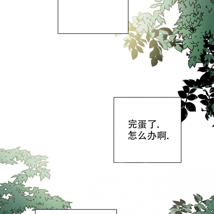 狼的香气漫画免费阅读下拉式漫画,第46话 465图