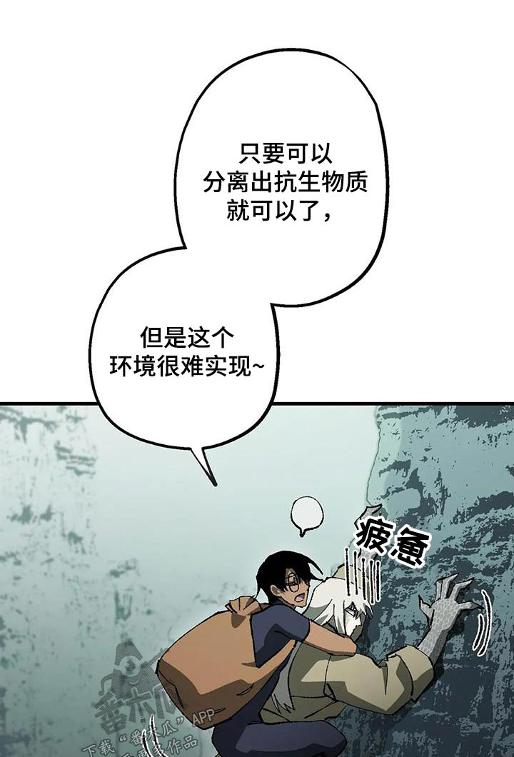 巫师与狼免费漫画漫画,第60话1图