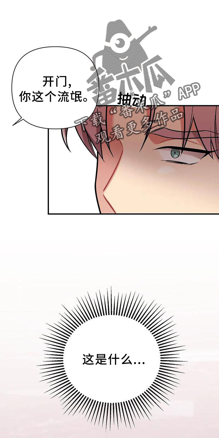 骑士礼漫画漫画,第23章：狗崽子6图