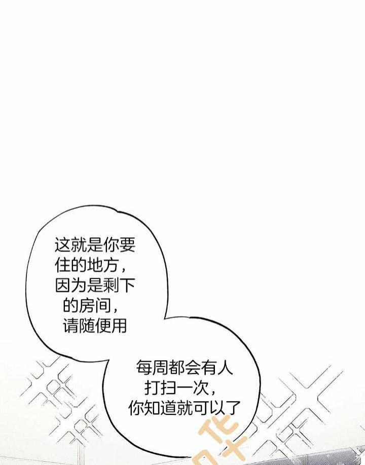 倒霉的吸血鬼漫画漫画,第50章：真没事4图