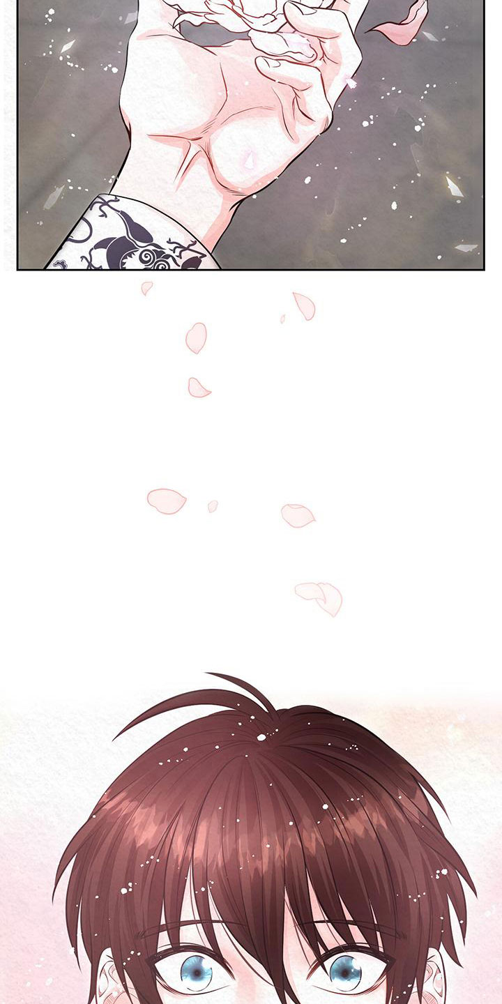 一分为二漫画漫画,第34章：不会逃跑的5图