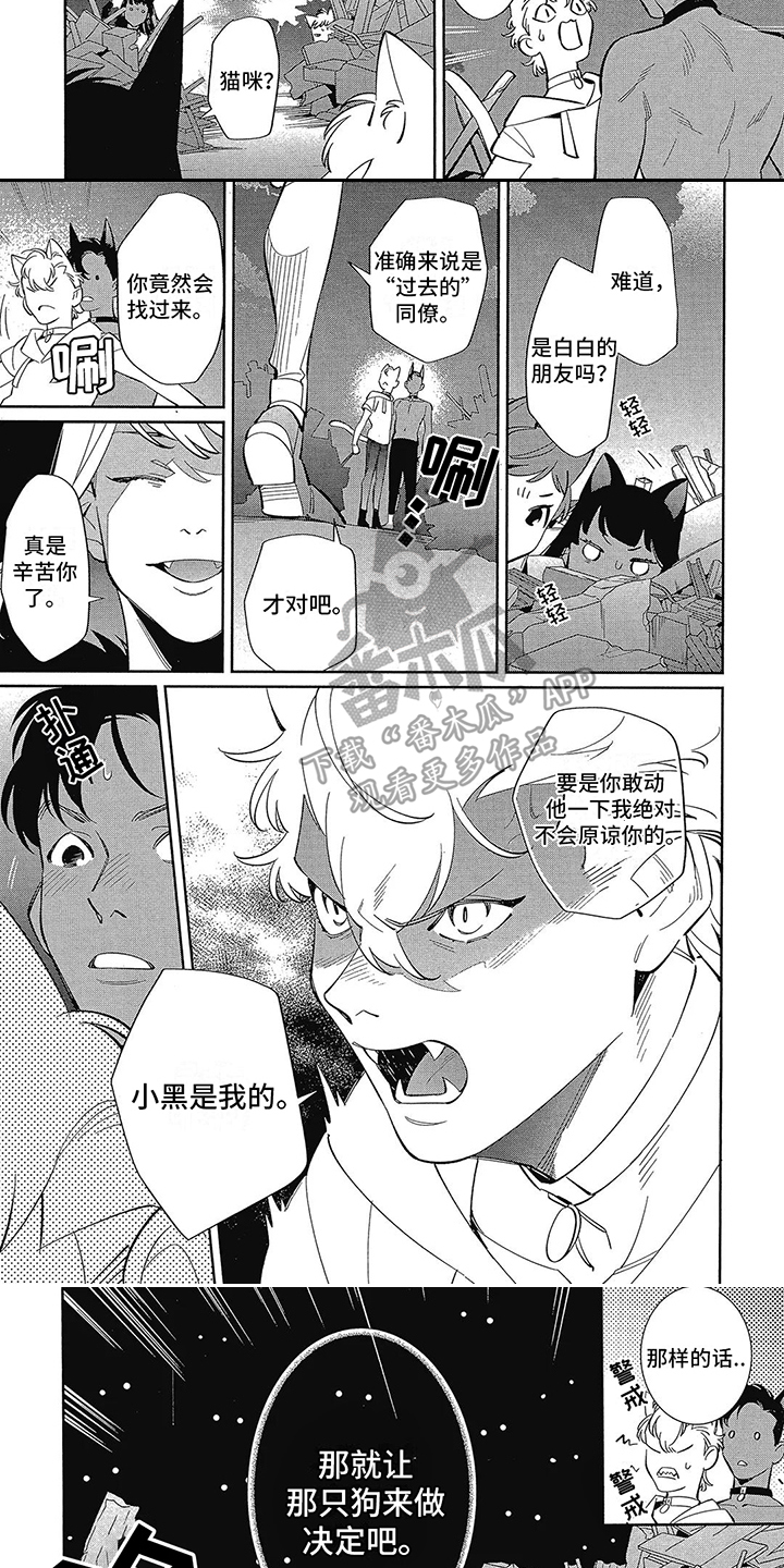 绝世女团漫画免费阅读漫画,第35章：问责4图