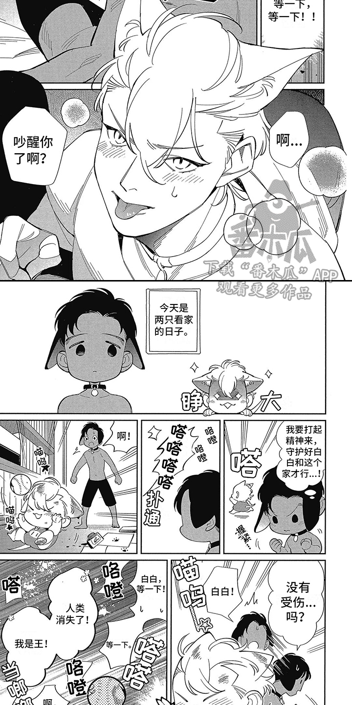 灵魂置换漫画漫画,第52章：隐藏高手8图