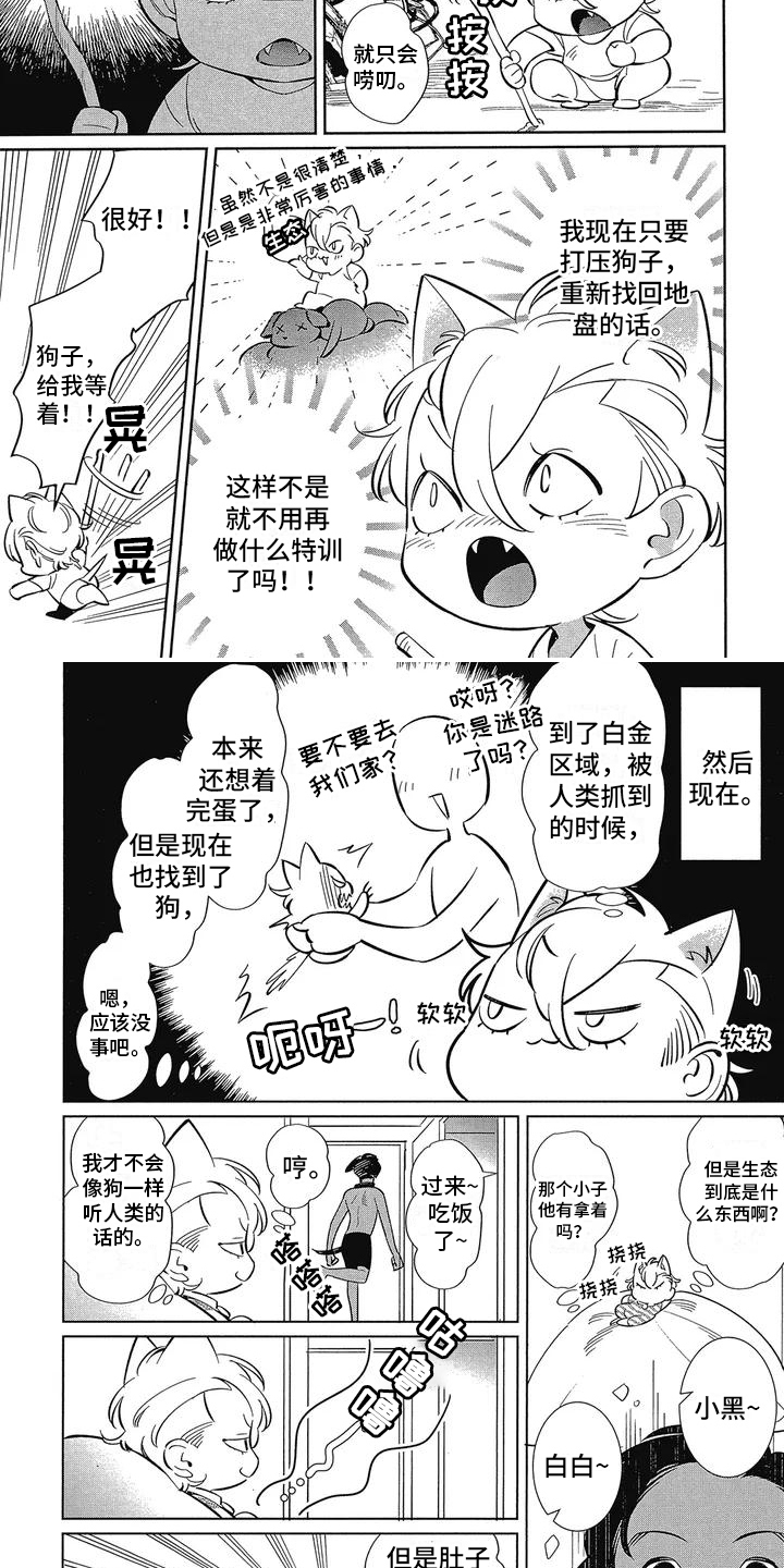 灵魂置换免费漫画漫画,第45章：有共犯6图