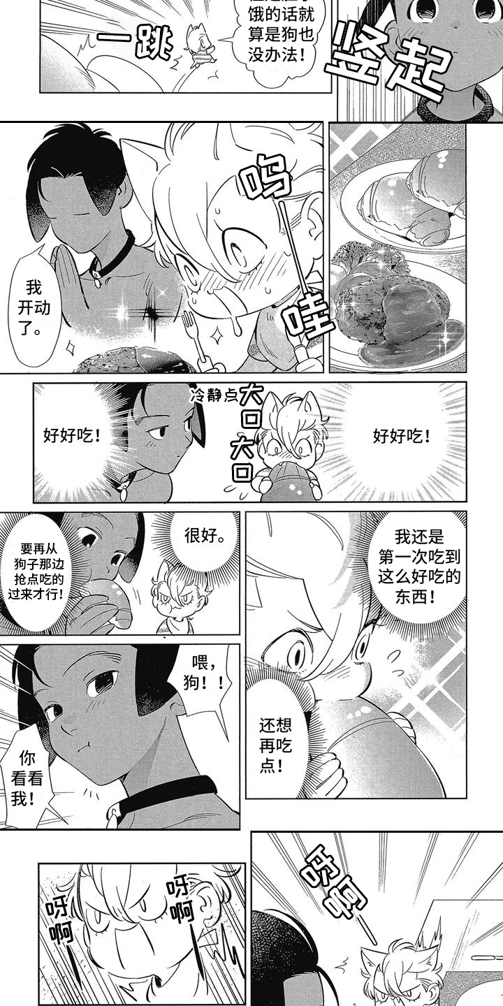 灵魂置换漫画漫画,第46章：复杂的感情6图