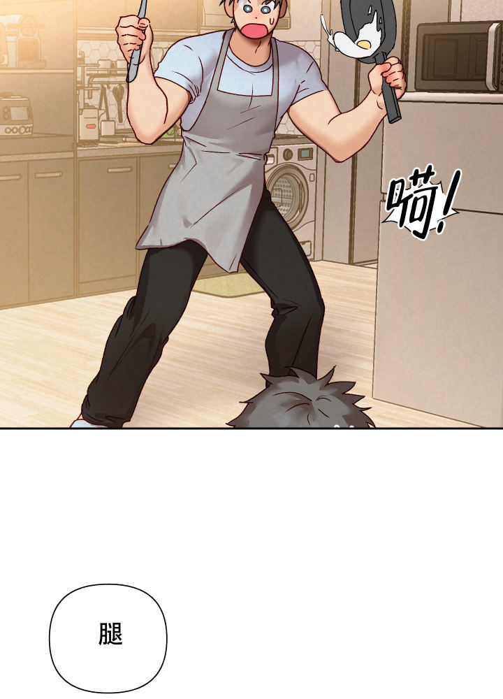上司动漫推荐漫画,第50章：疯子9图