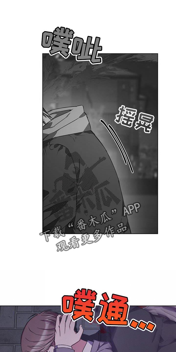 真假社长漫画漫画,第205章：热烈的反响6图