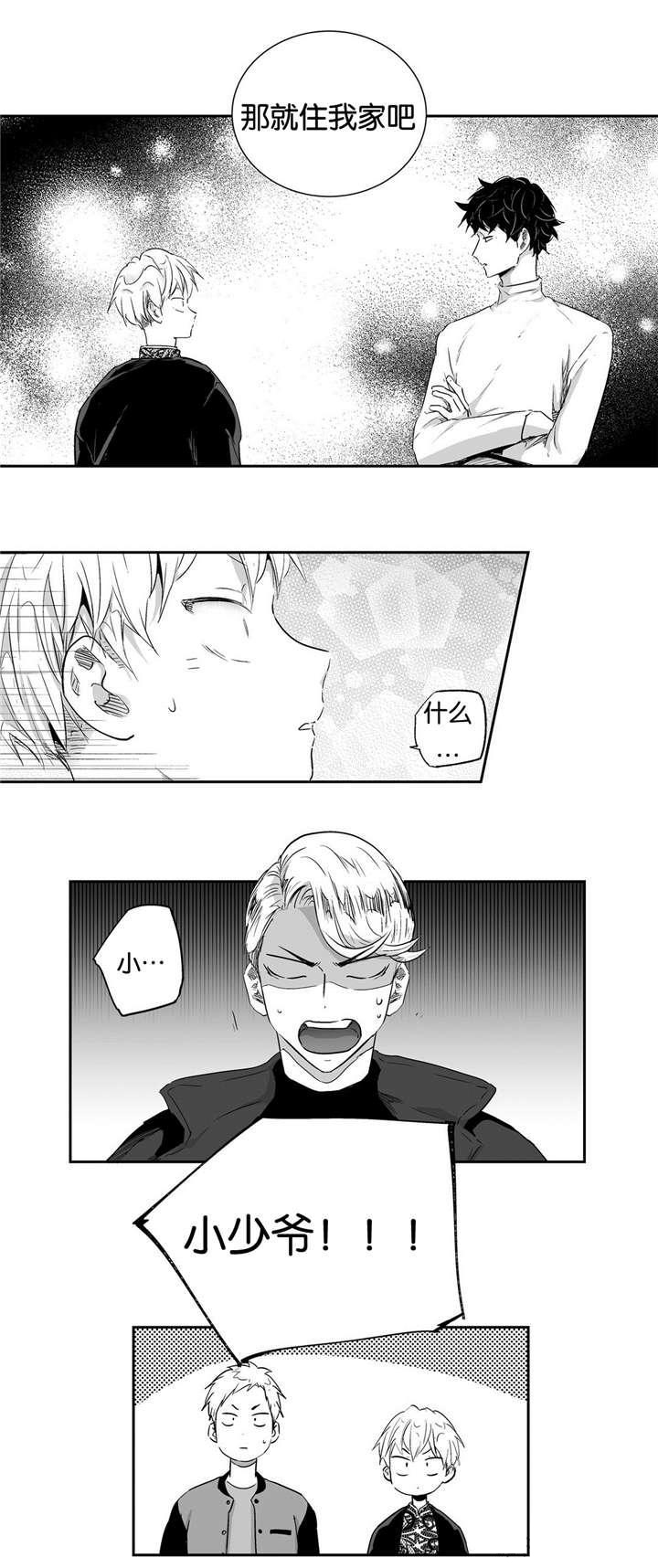 极道猫狗漫画剧情漫画,第42章：手术开始3图