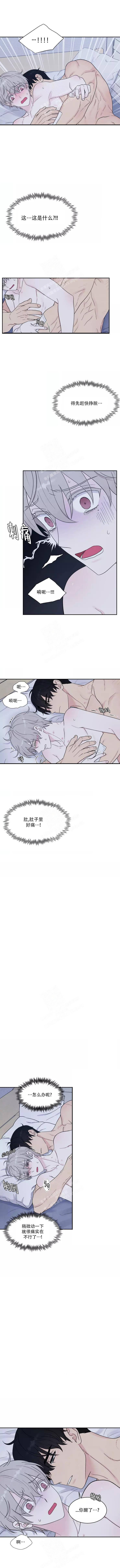 一夜失忆漫画漫画,第39章：你的一切1图